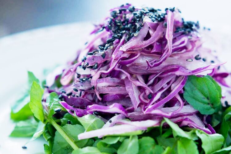 Salad of watercress, violet cabbage and violet onion